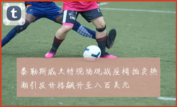 泰勒斯威夫特现场观战座椅拍卖热潮引发价格飙升至八百美元