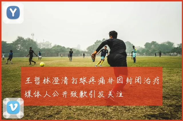 王哲林澄清打球疼痛非因封闭治疗媒体人公开致歉引发关注
