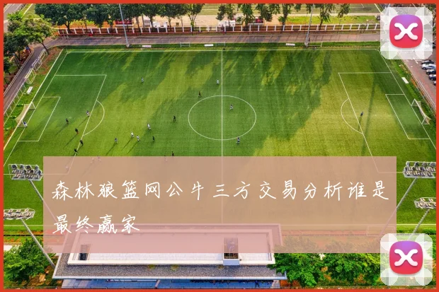 森林狼篮网公牛三方交易分析谁是最终赢家